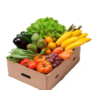 Frutas y Verduras